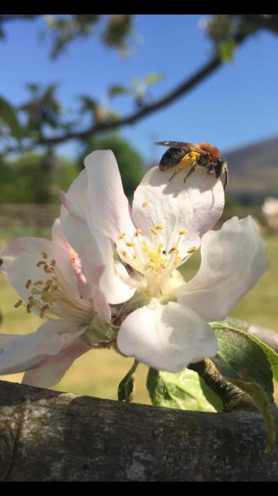 18300818_10211803038166691_5732124779622367863_n