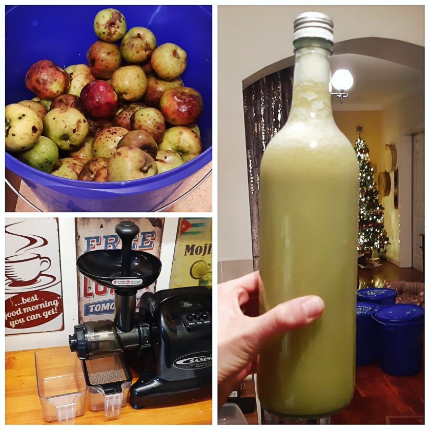 78598268_2441689779403474_7779927219085770752_o